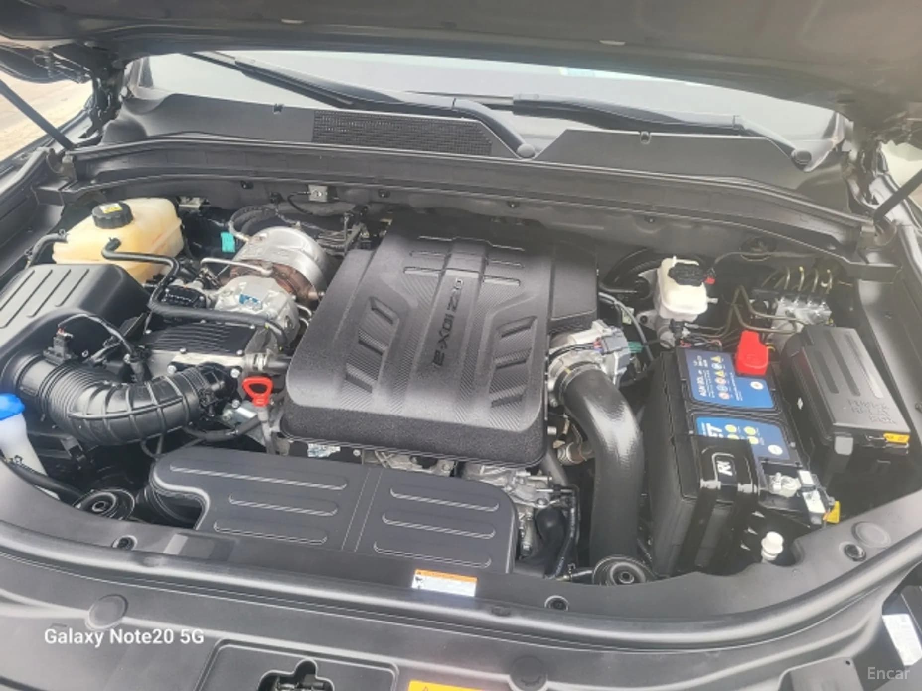 Rexton Sports Khan