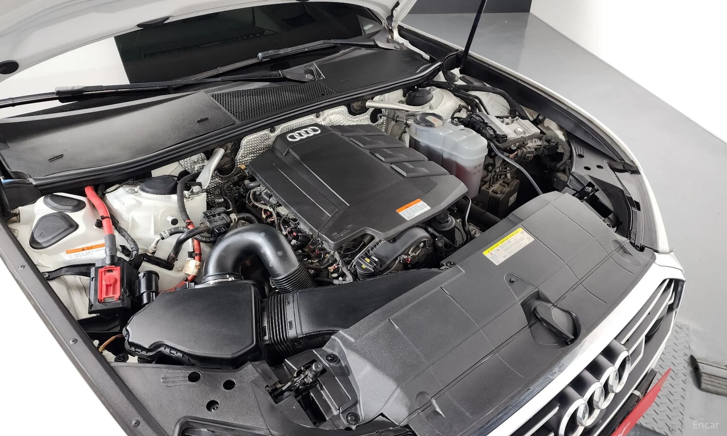 A6 (C8)