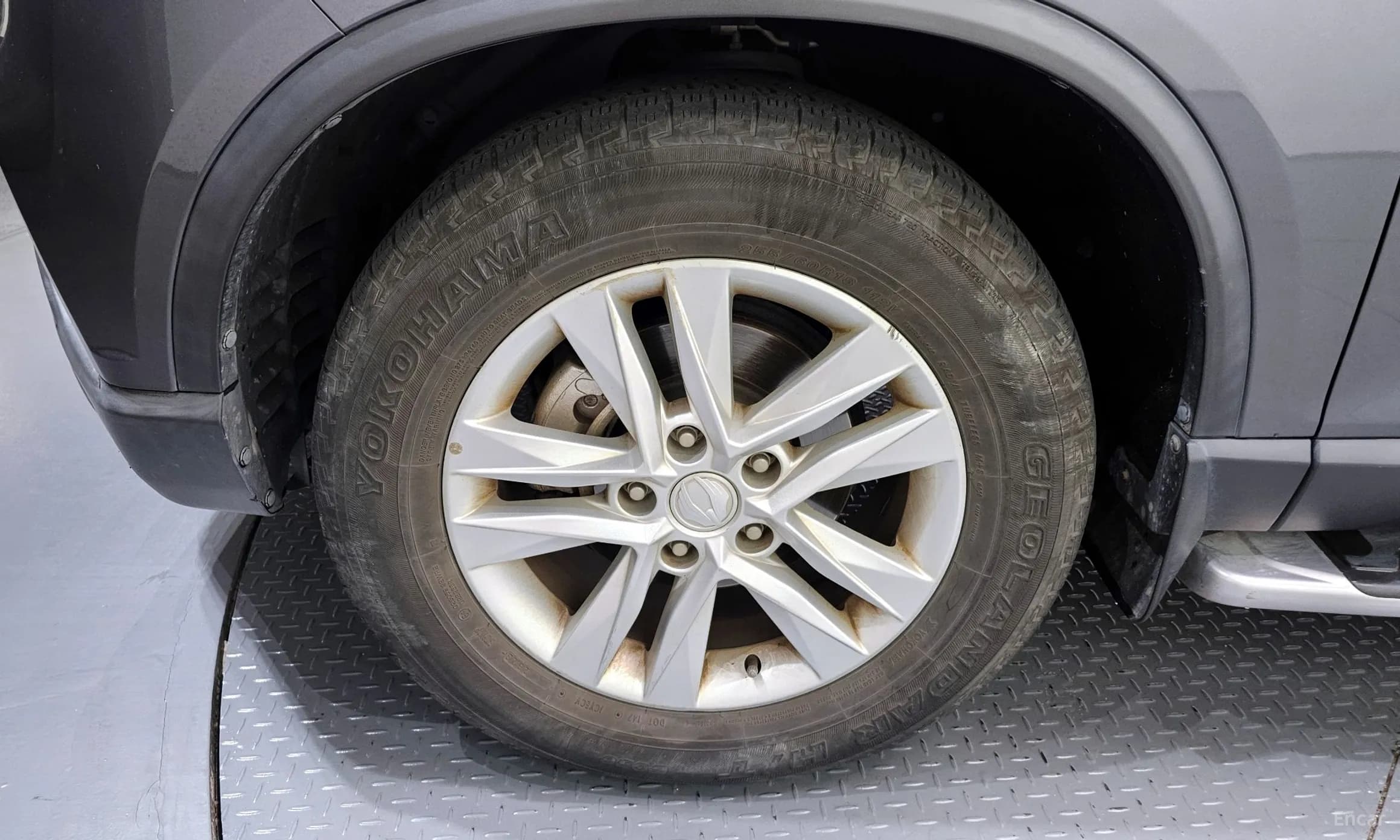 Rexton Sports