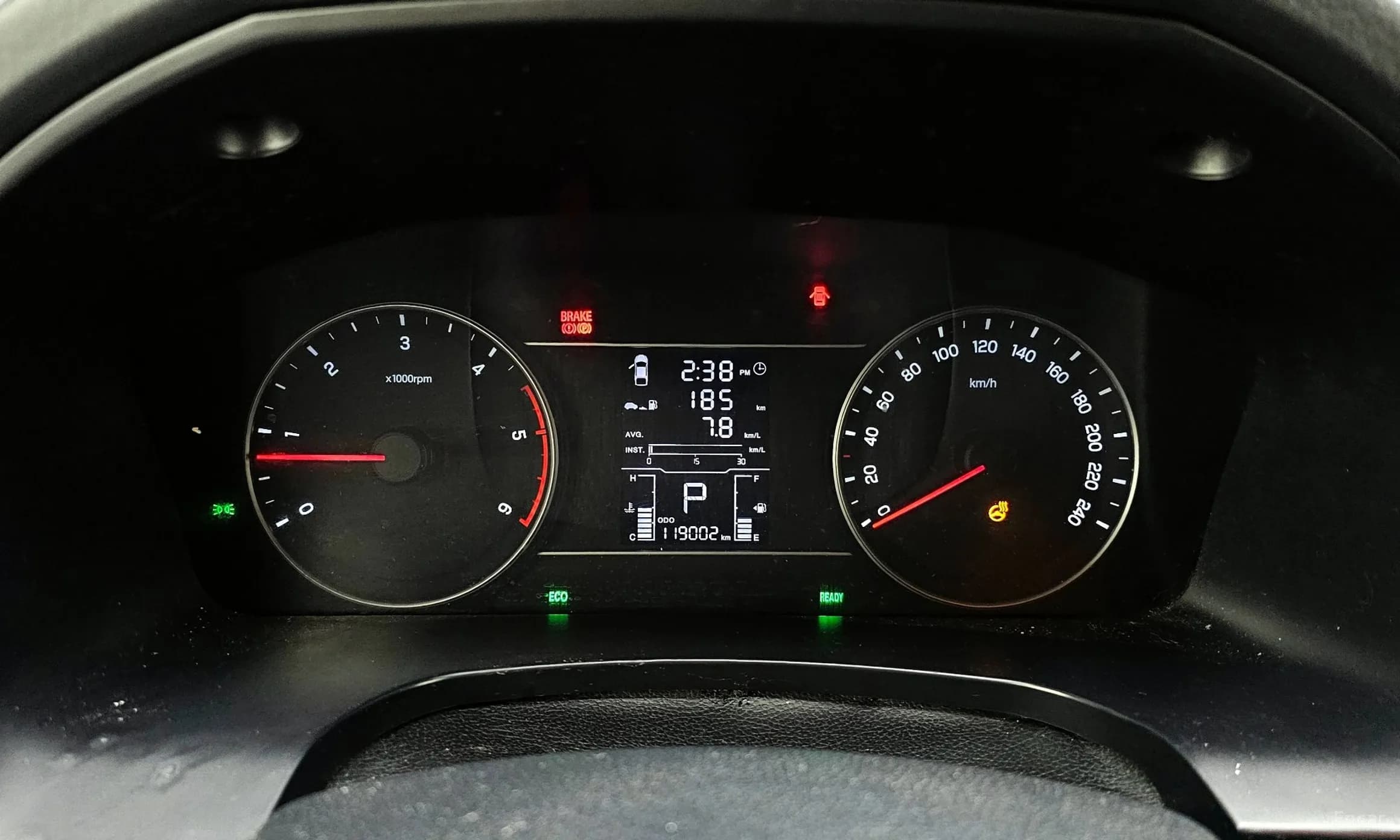 Rexton Sports