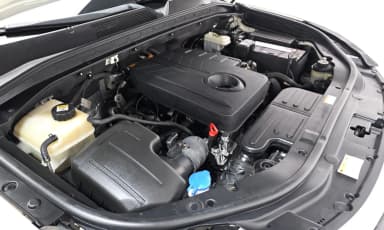Rexton Sports