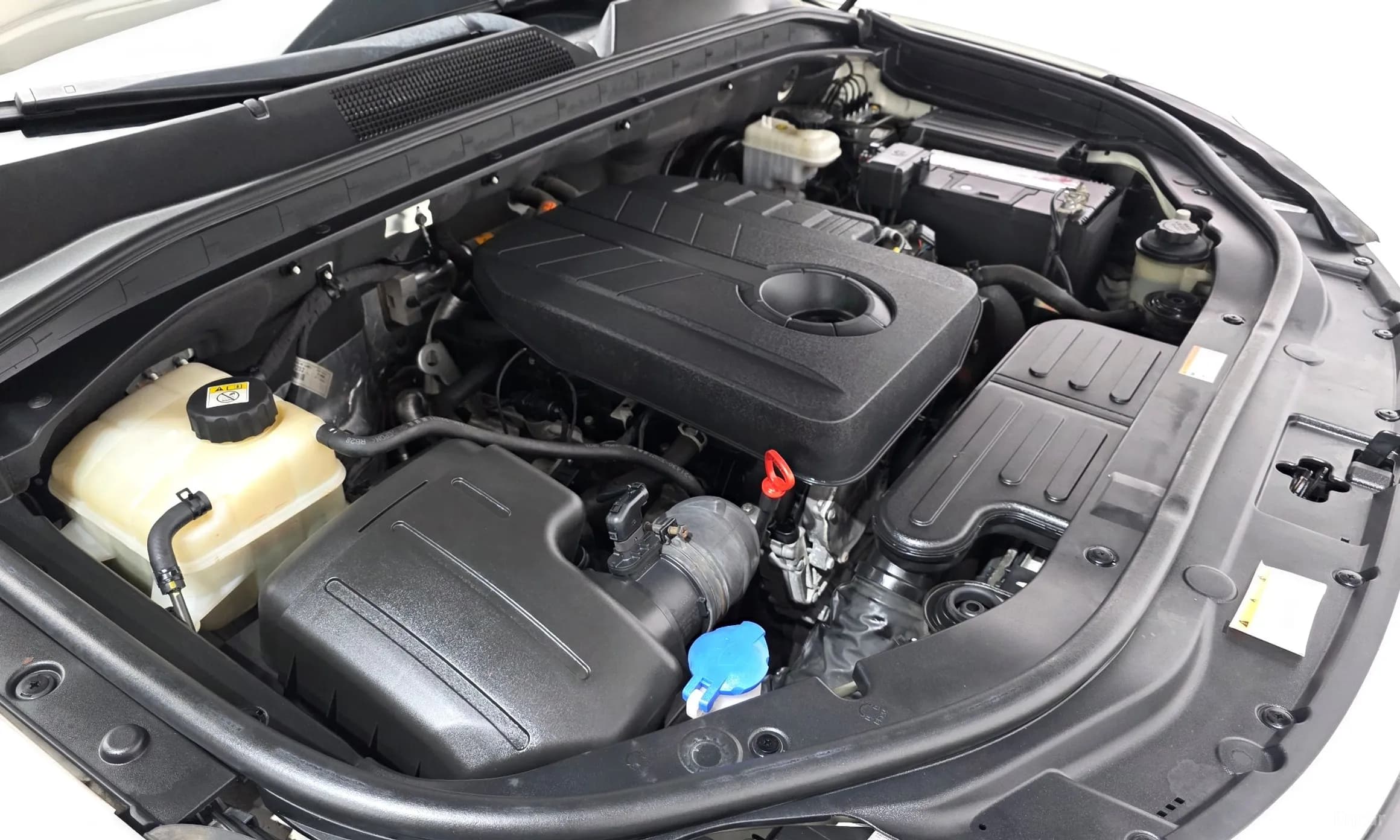 Rexton Sports
