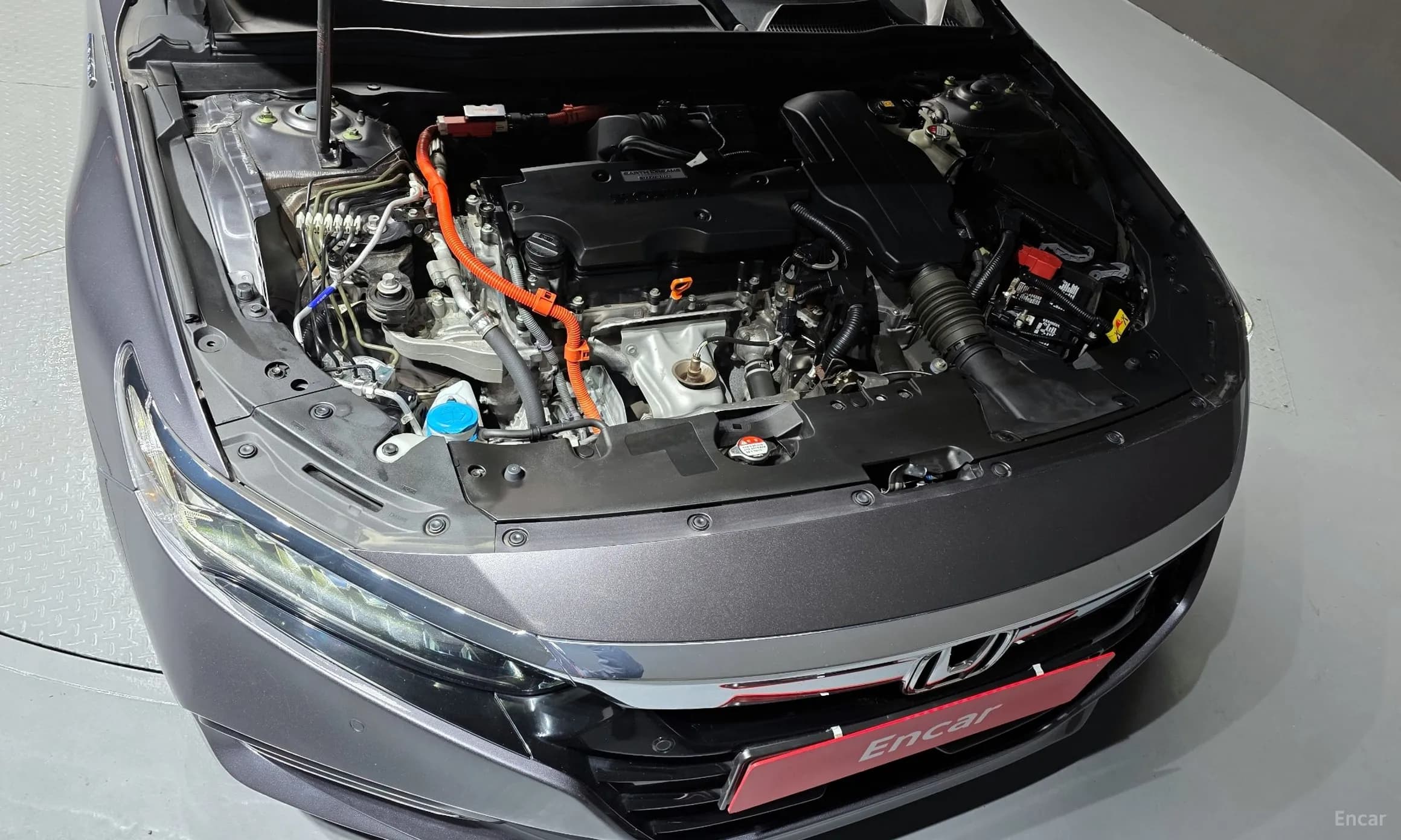 Accord 10th Generation
