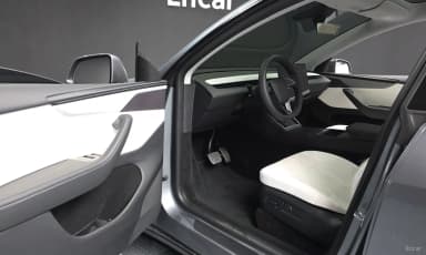 Model Y