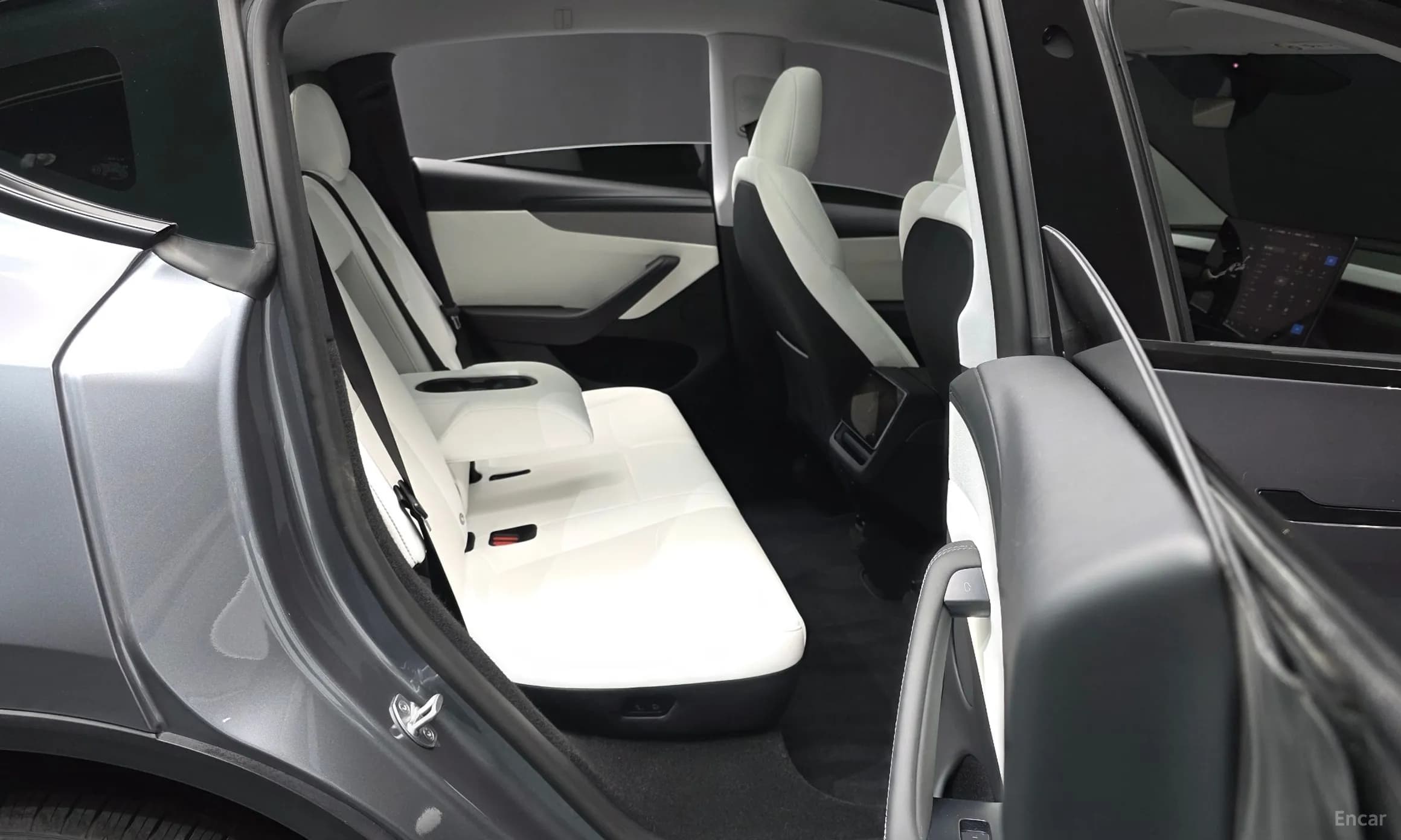 Model Y