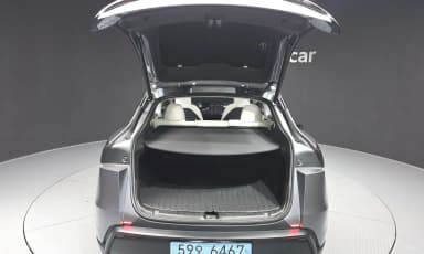 Model Y