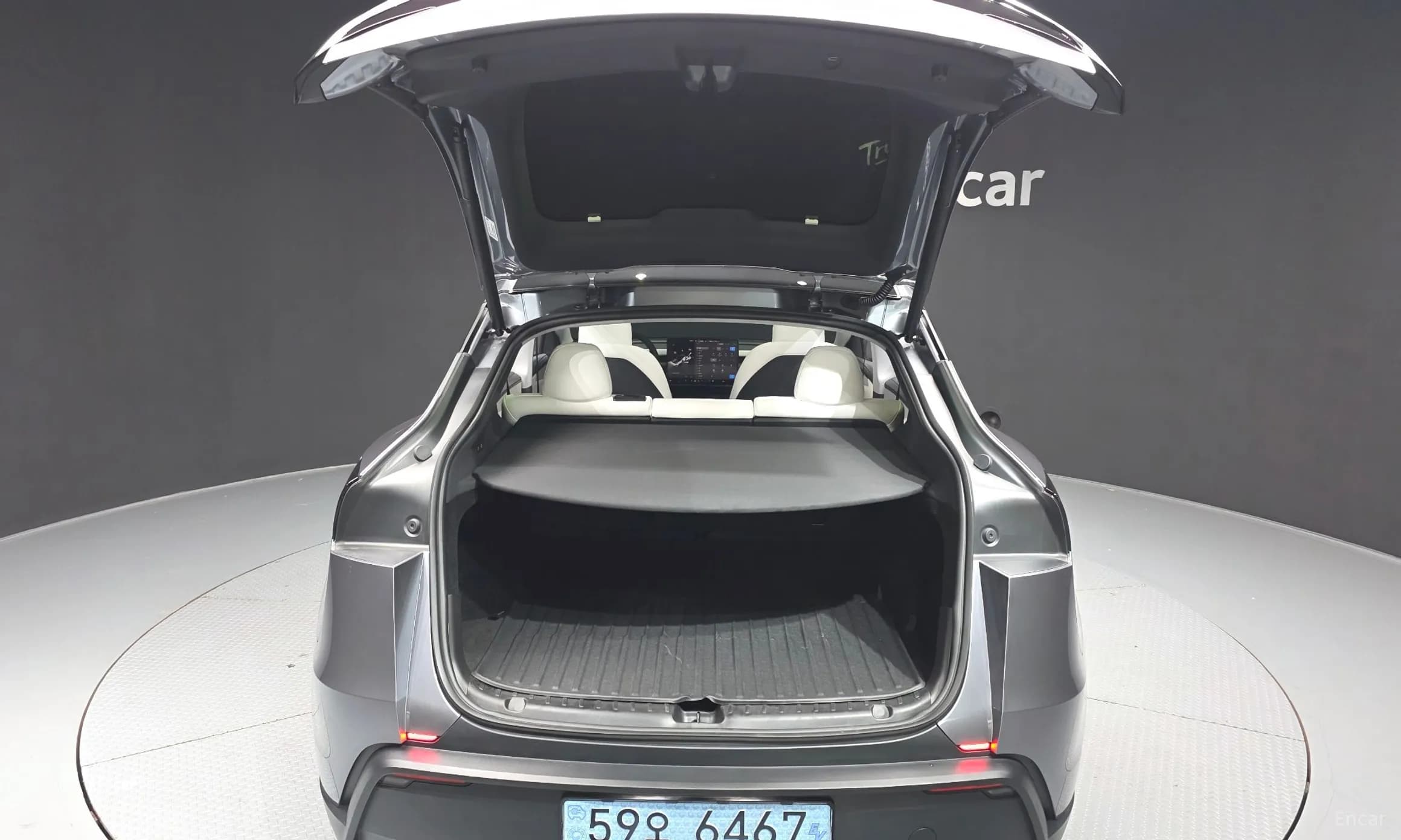 Model Y