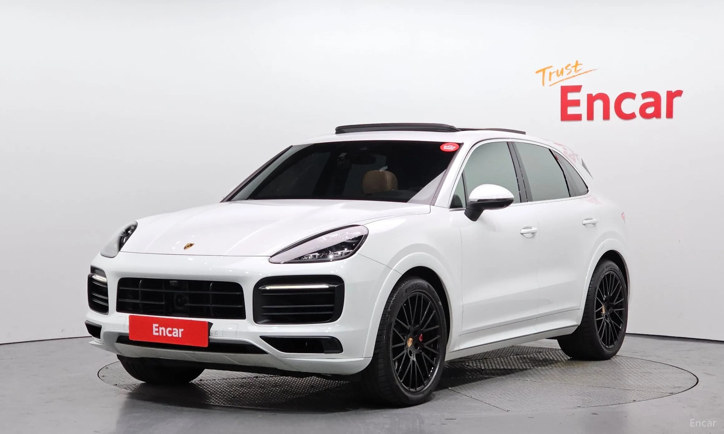 Cayenne (PO536)