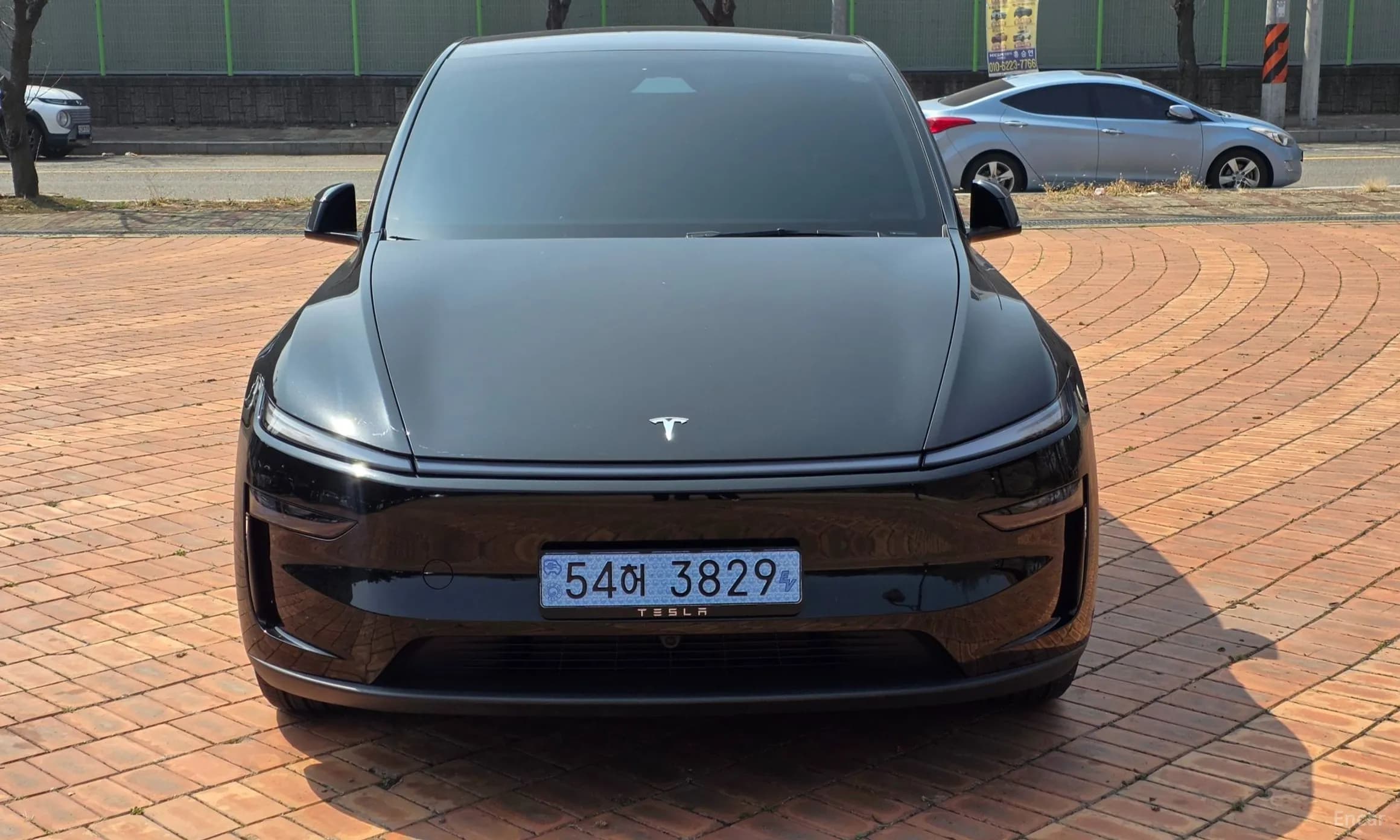 Model Y