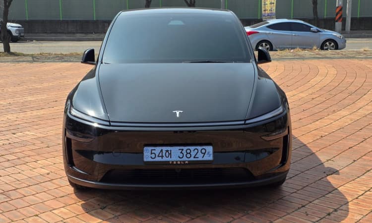 Model Y