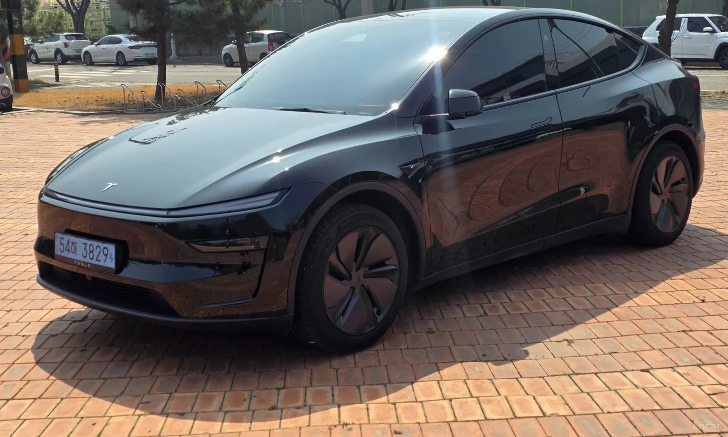 Model Y