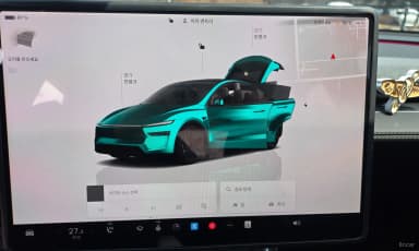 Model Y