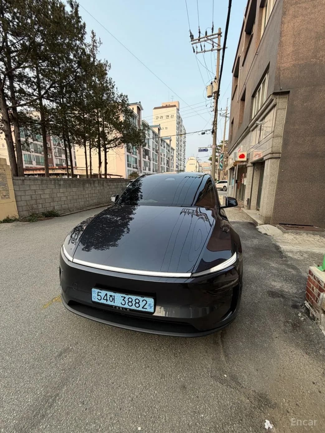 Model Y