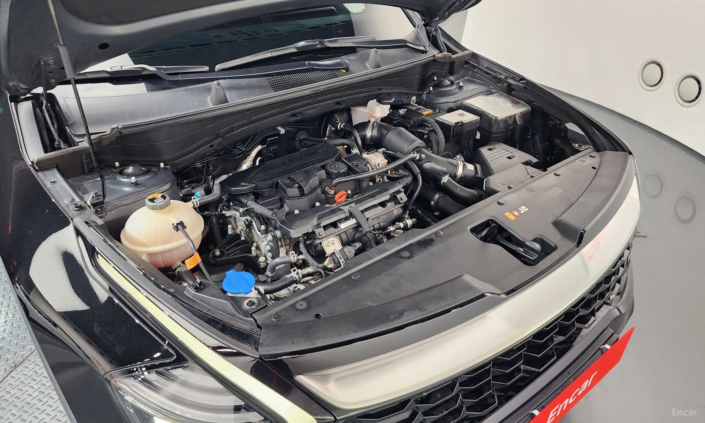 Sportage 5th Generation