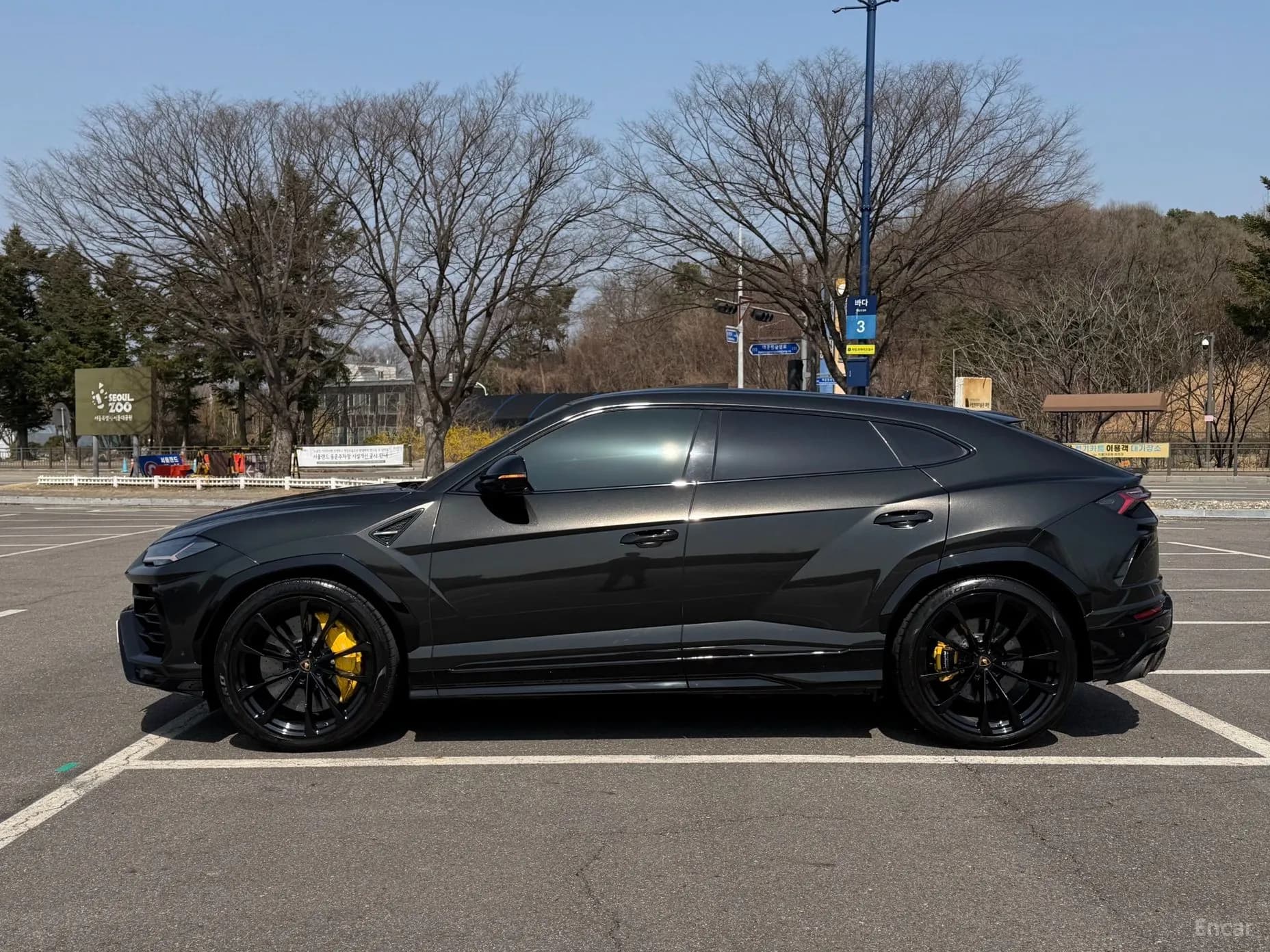 Urus