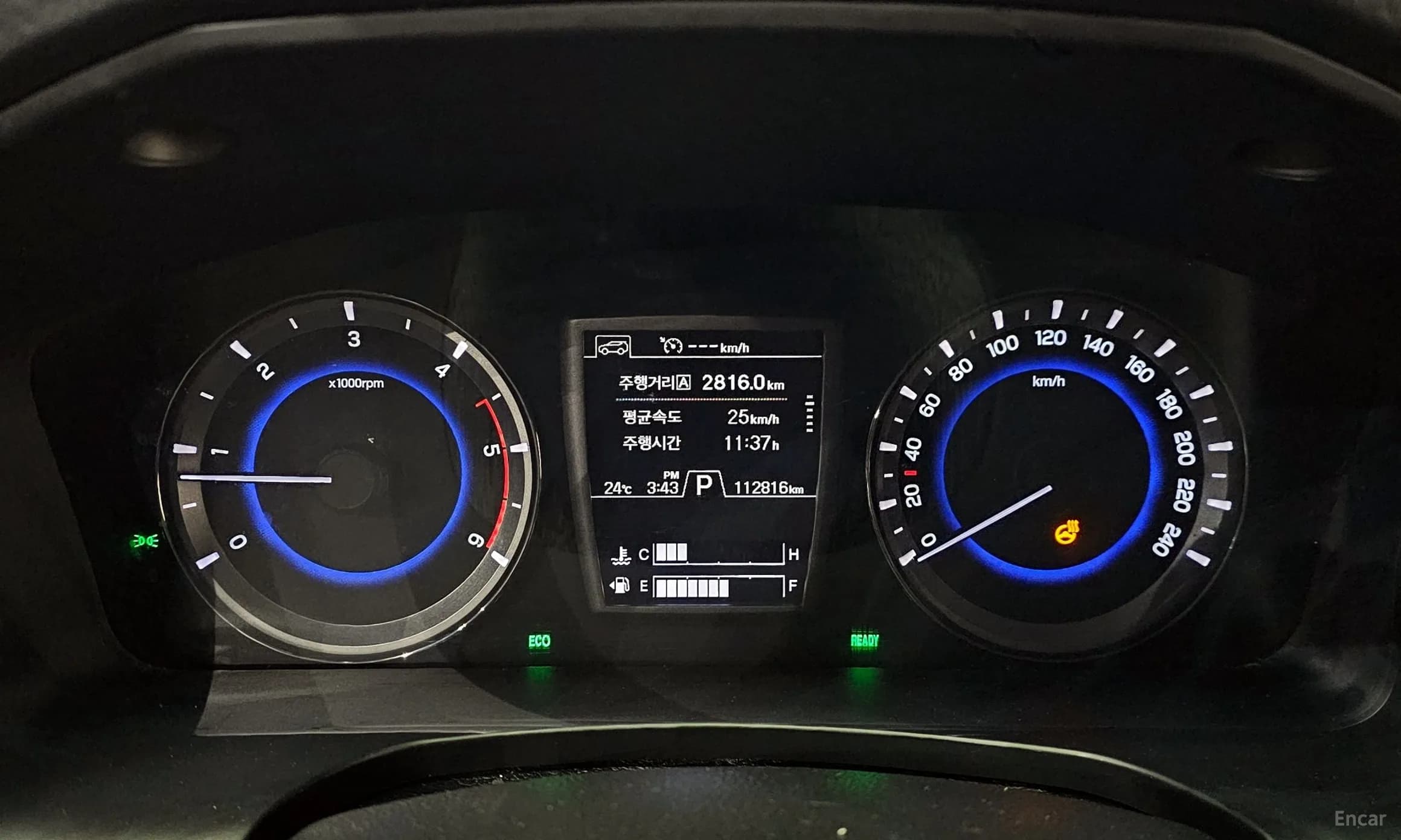 Rexton Sports