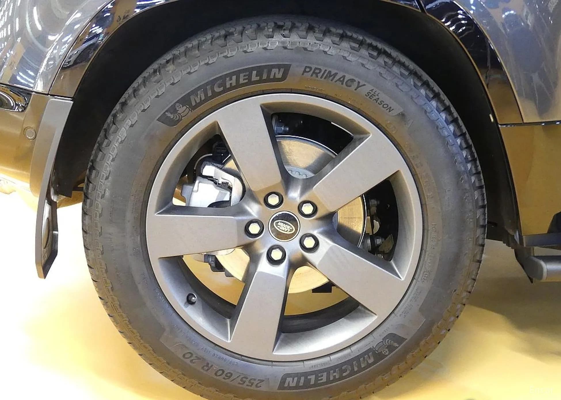 Defender (L663)