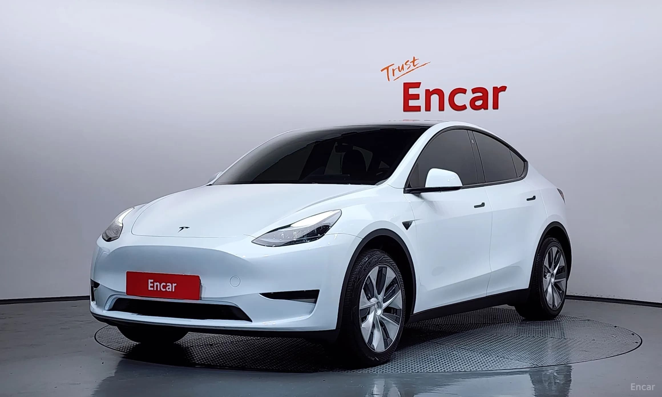 Model Y