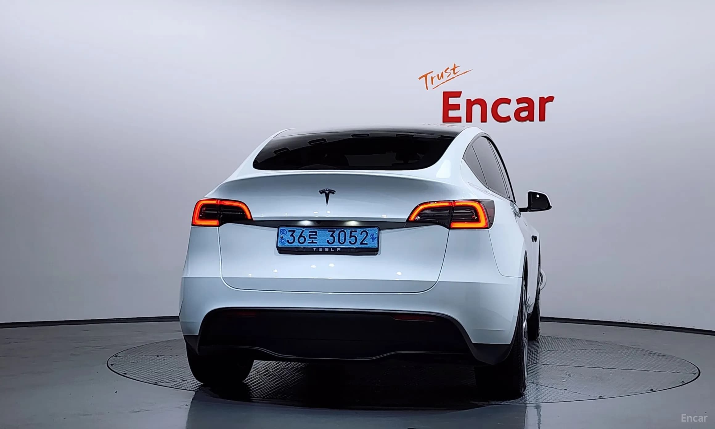 Model Y