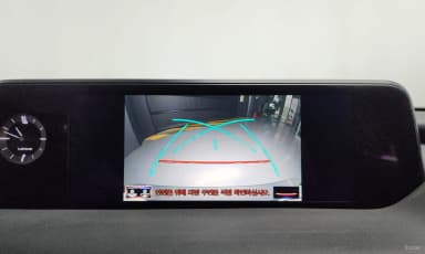 UX250h