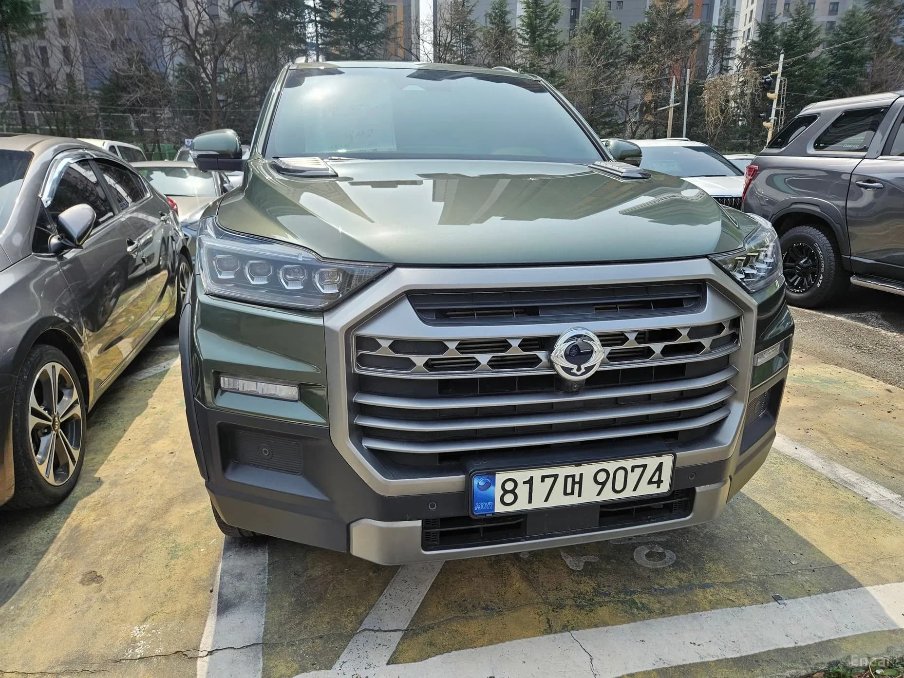 Rexton Sports