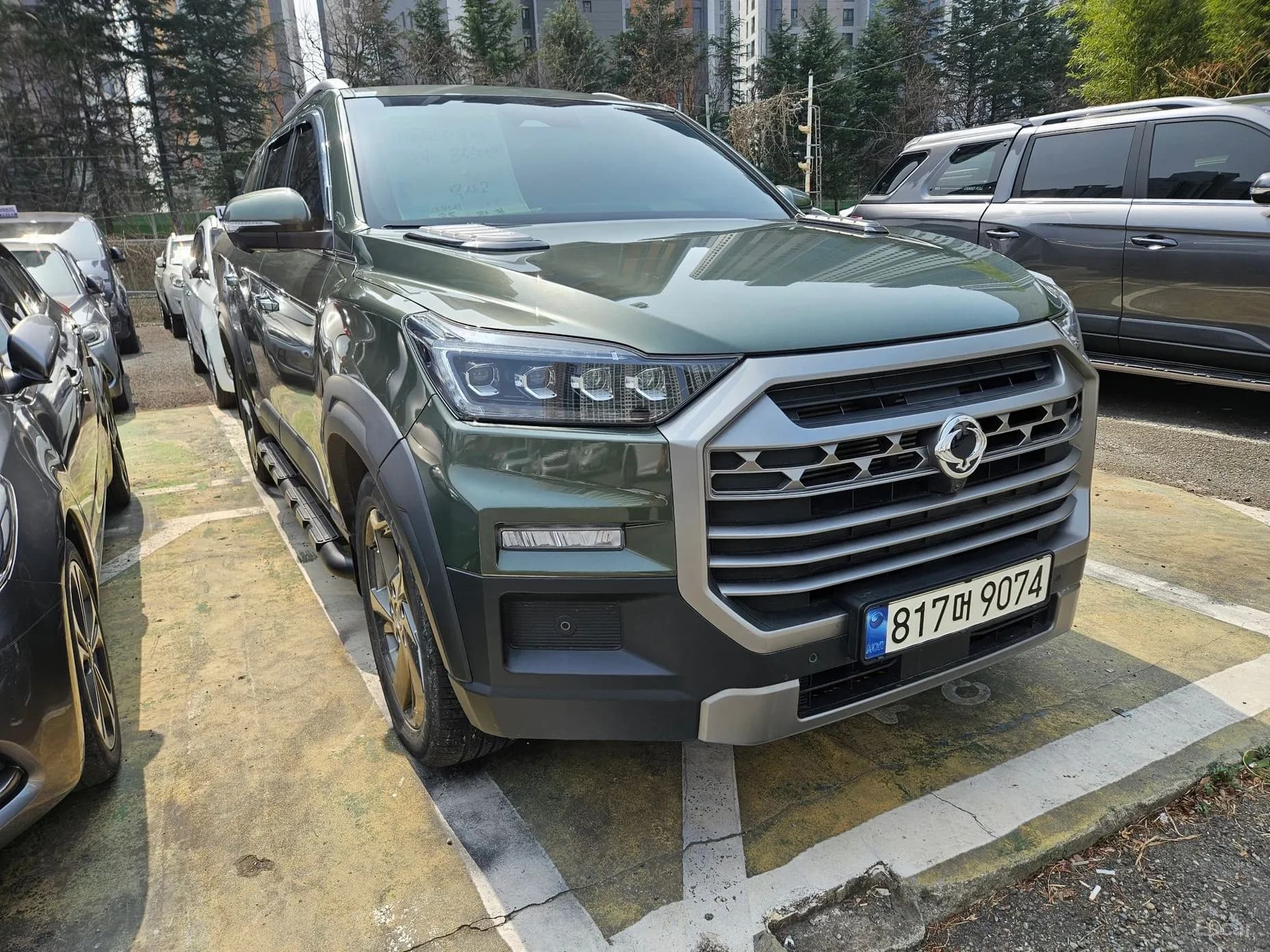 Rexton Sports