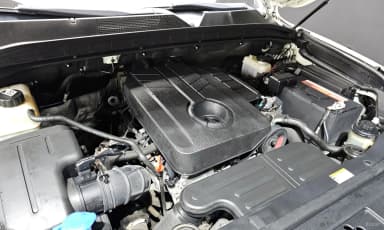 Rexton Sports