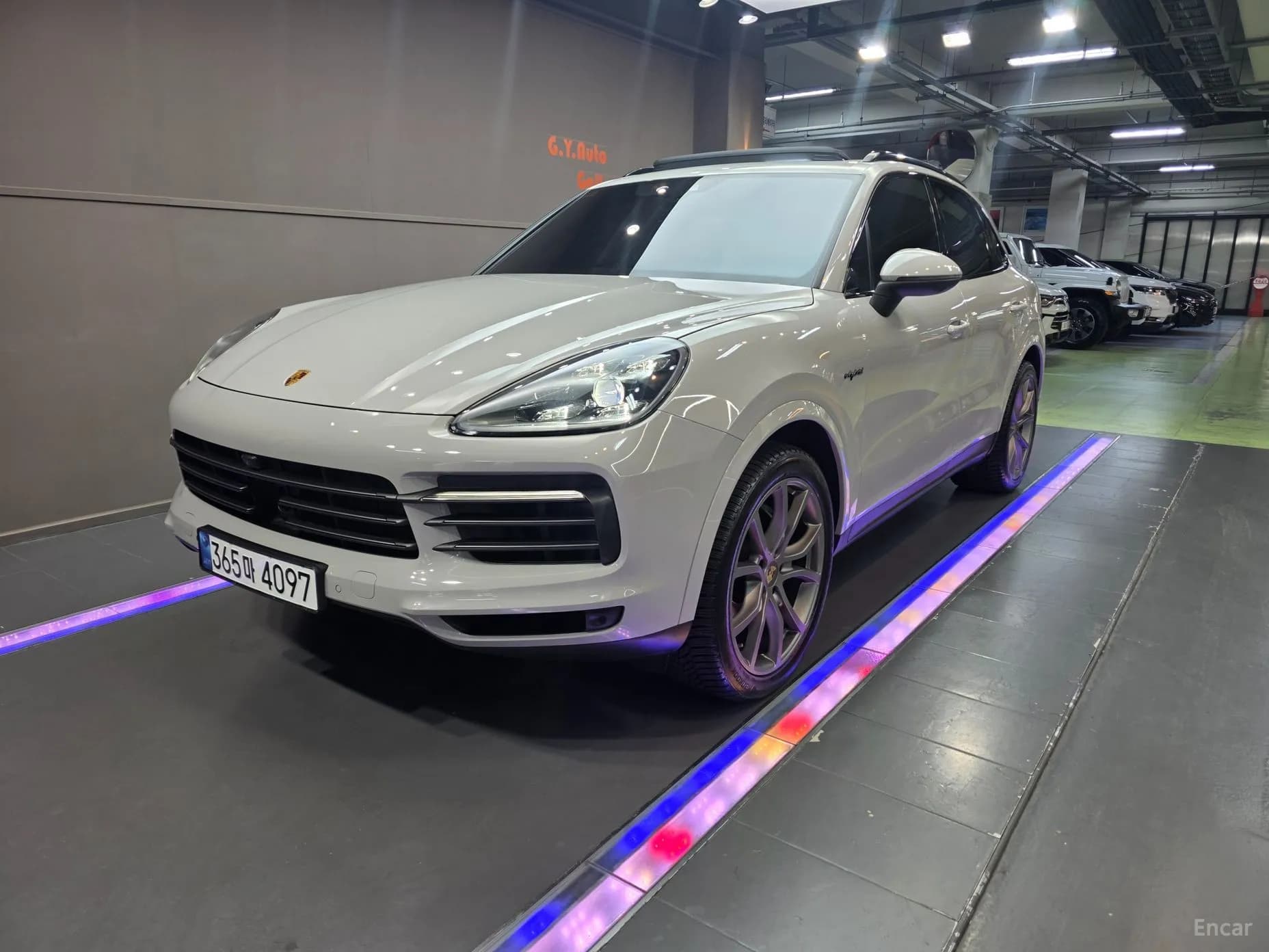 Cayenne (PO536)