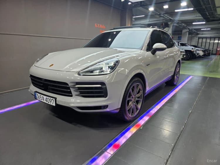 Cayenne (PO536)