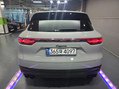 Cayenne (PO536)
