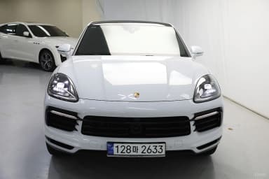 Cayenne (PO536)