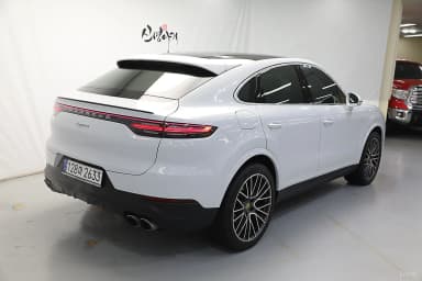 Cayenne (PO536)