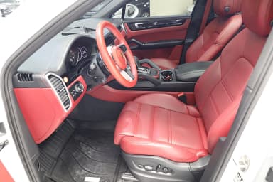 Cayenne (PO536)