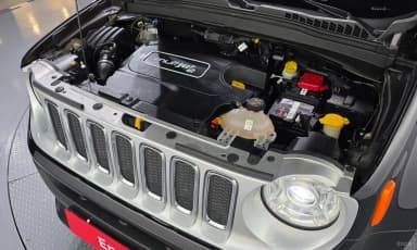Renegade