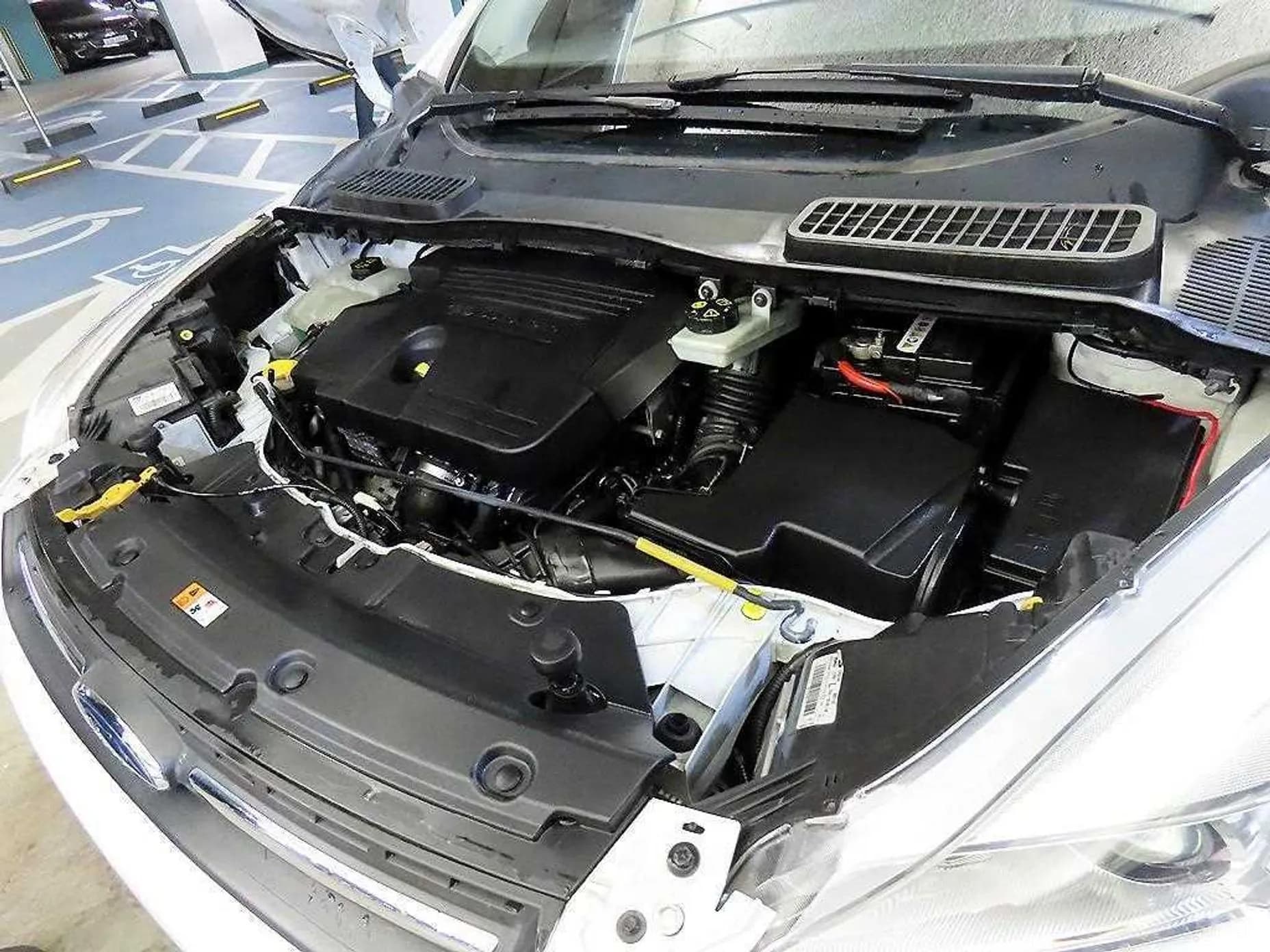 Cougar 2nd Generation