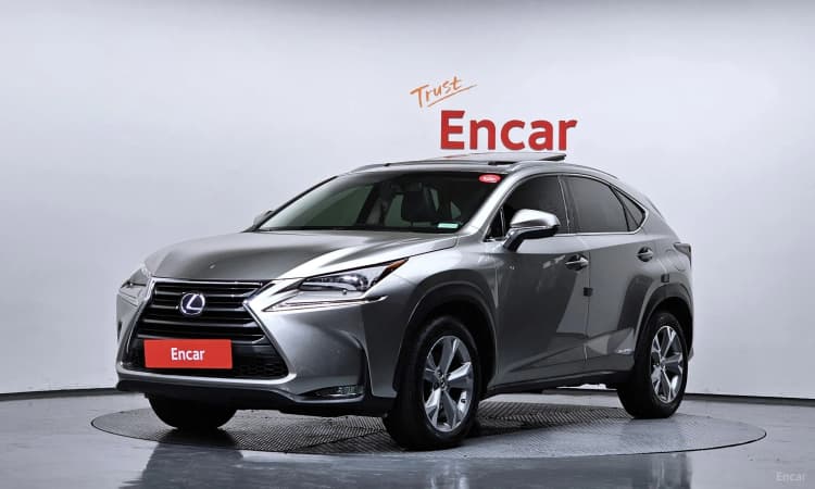 NX300h