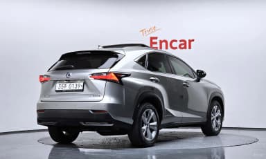 NX300h