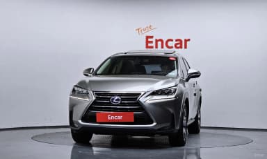 NX300h