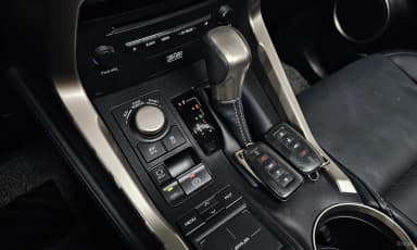 NX300h