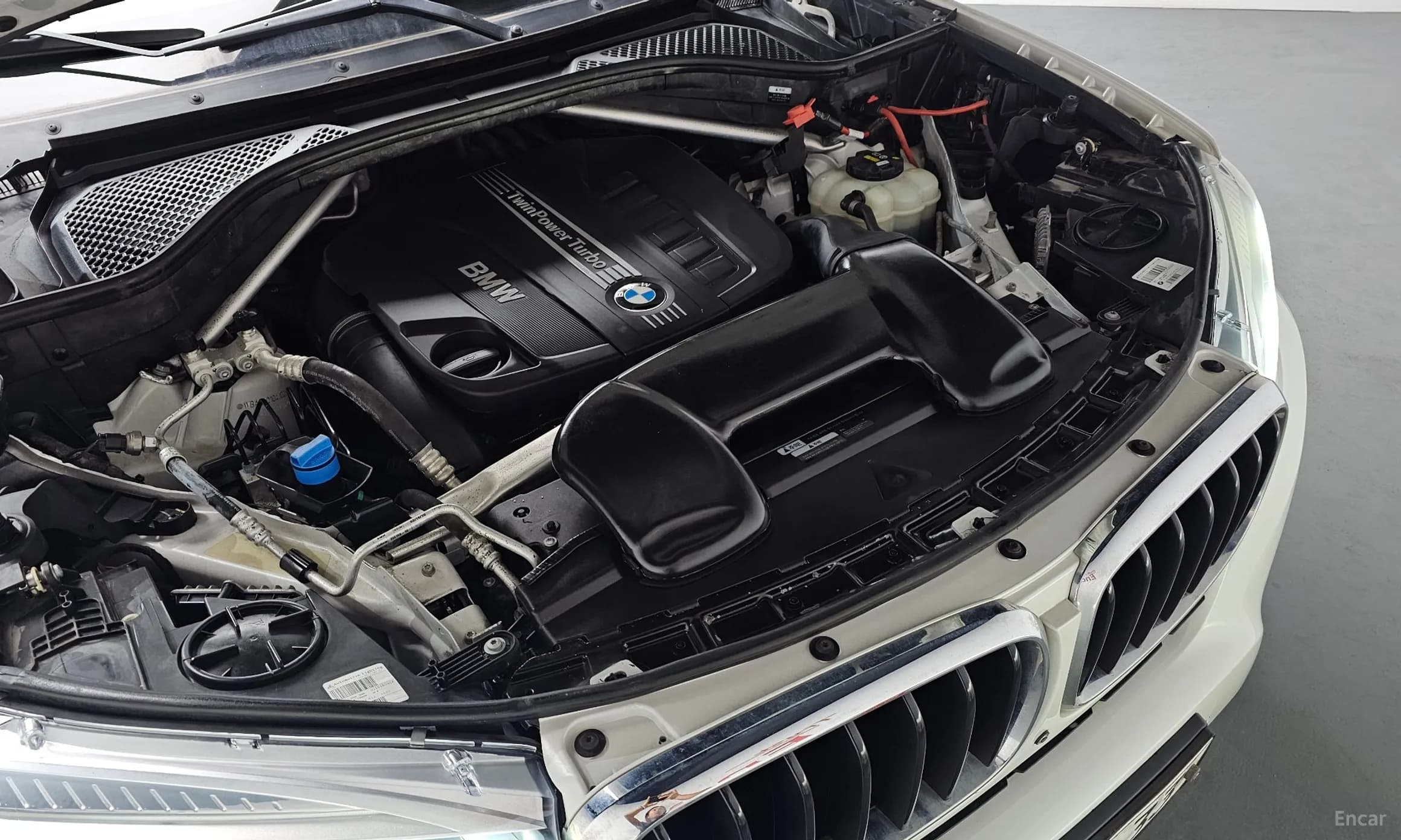 X6 (F16)
