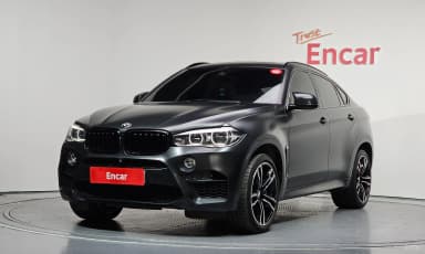 X6M (F16)