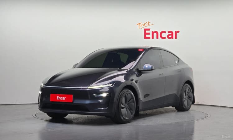 Model Y