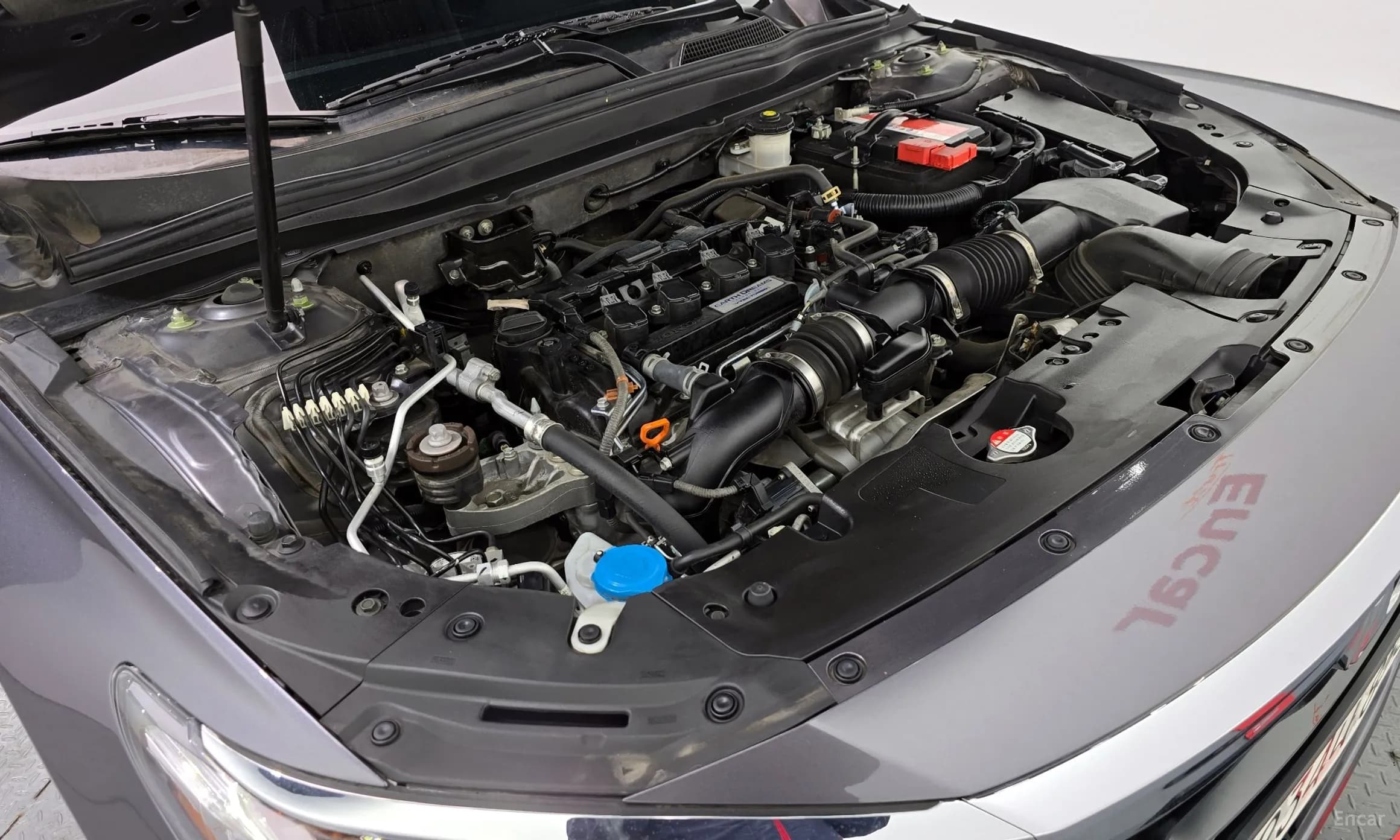 Accord 10th Generation