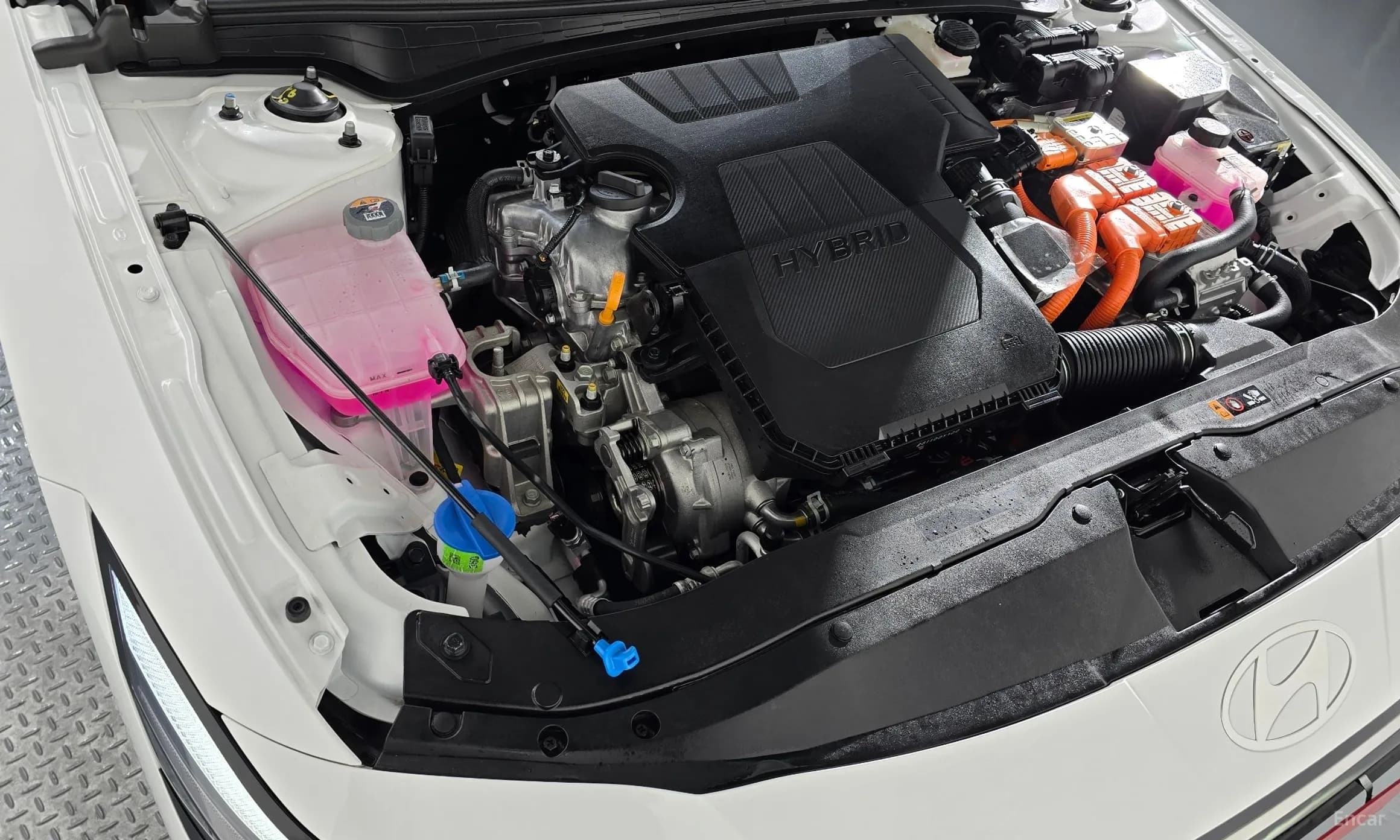 Avante Hybrid (CN7)