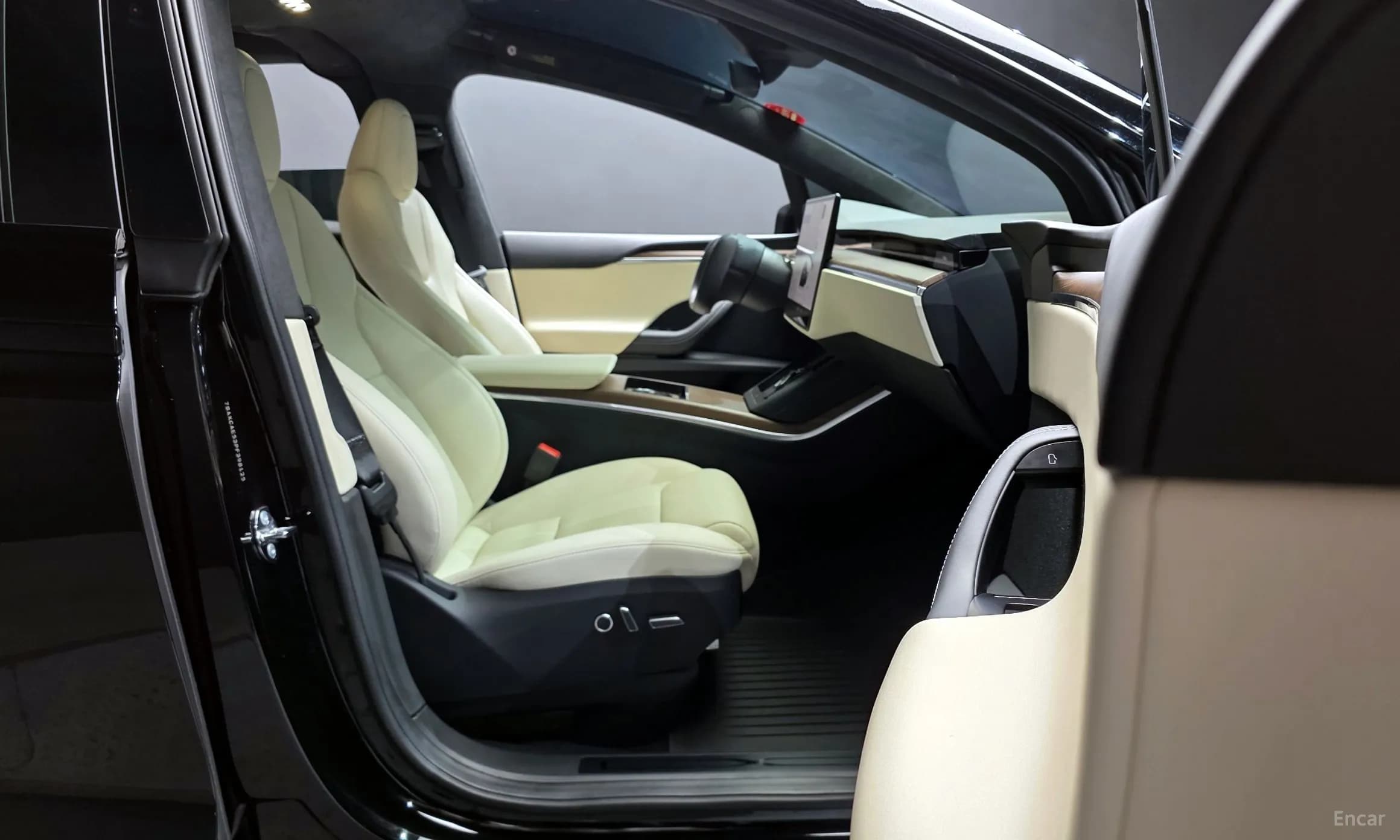 Model X