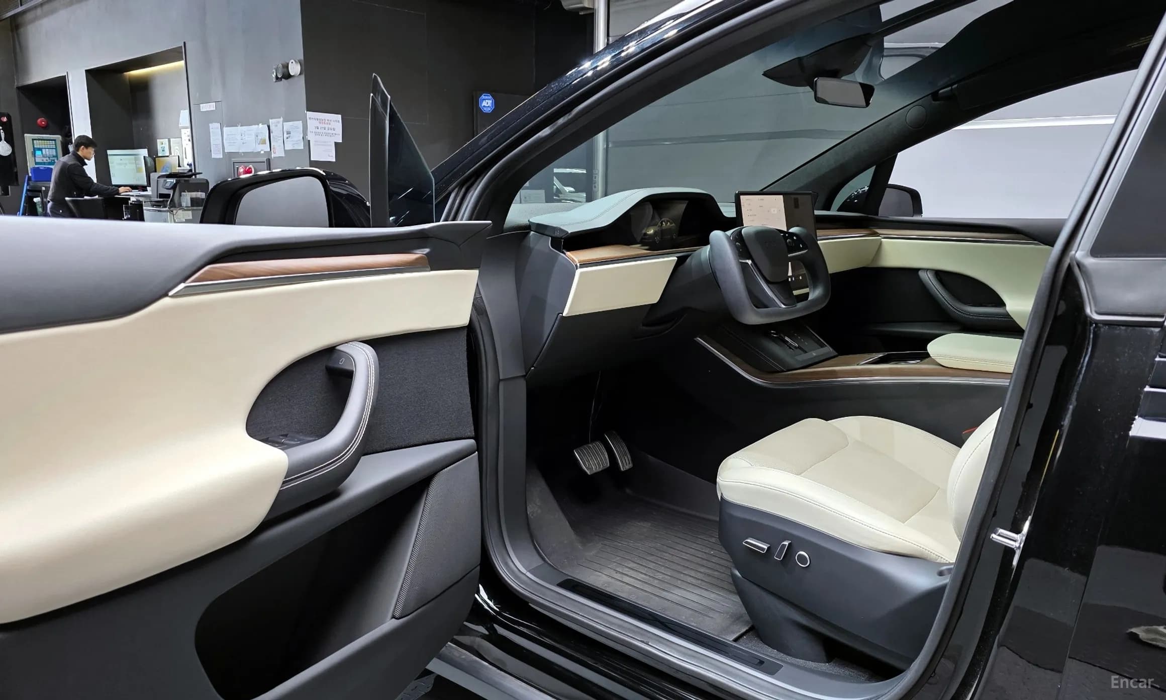 Model X
