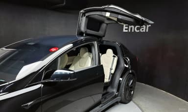 Model X