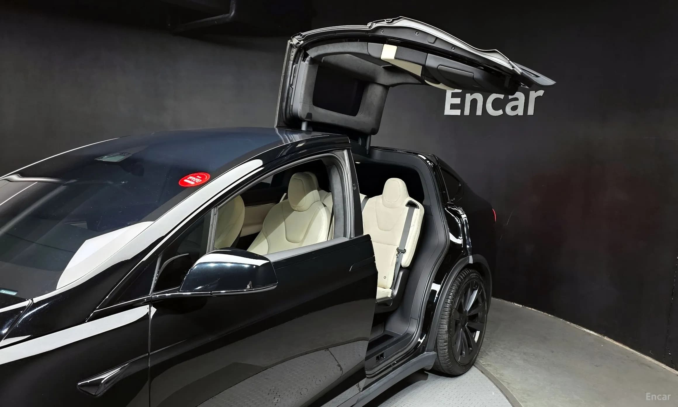 Model X