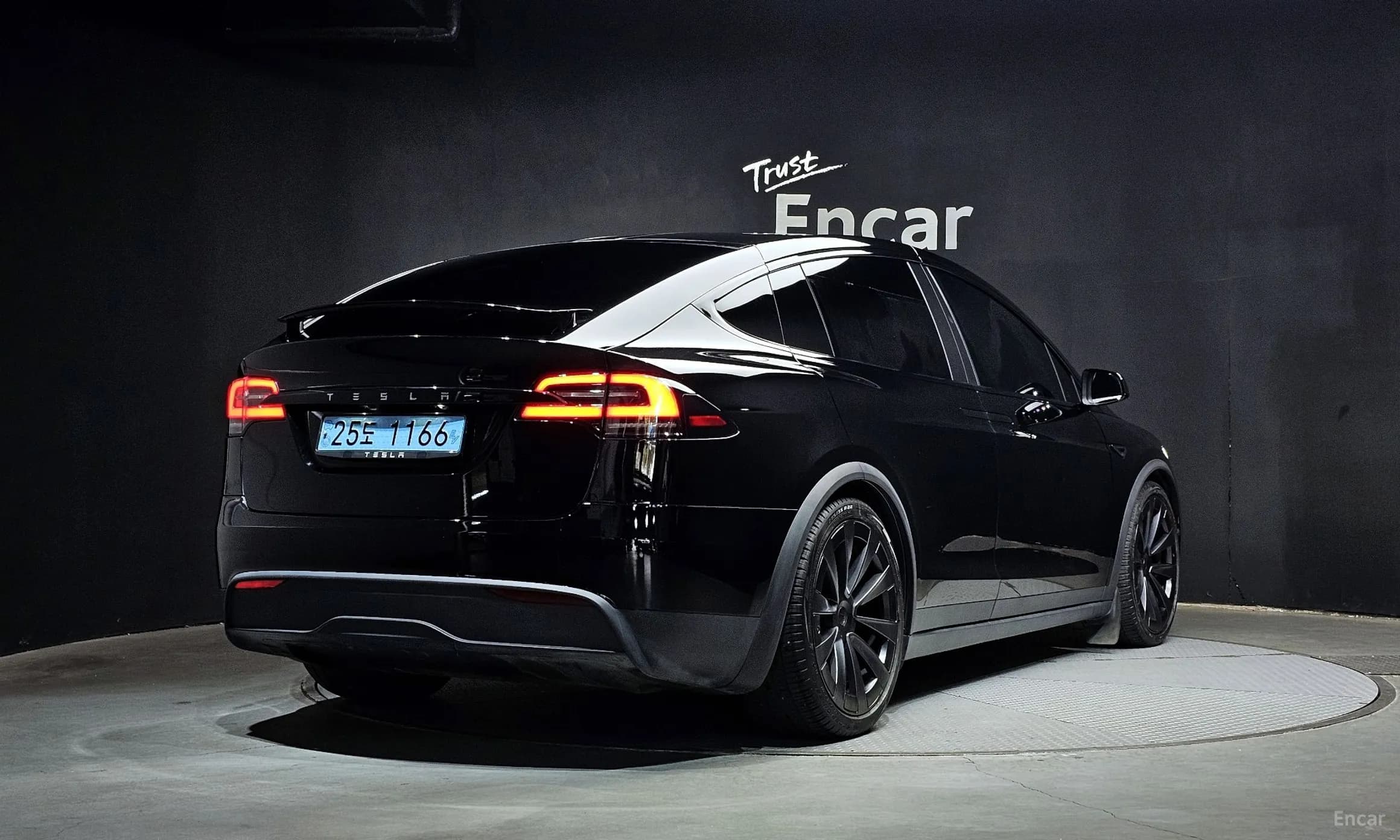Model X