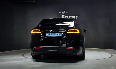 Model X